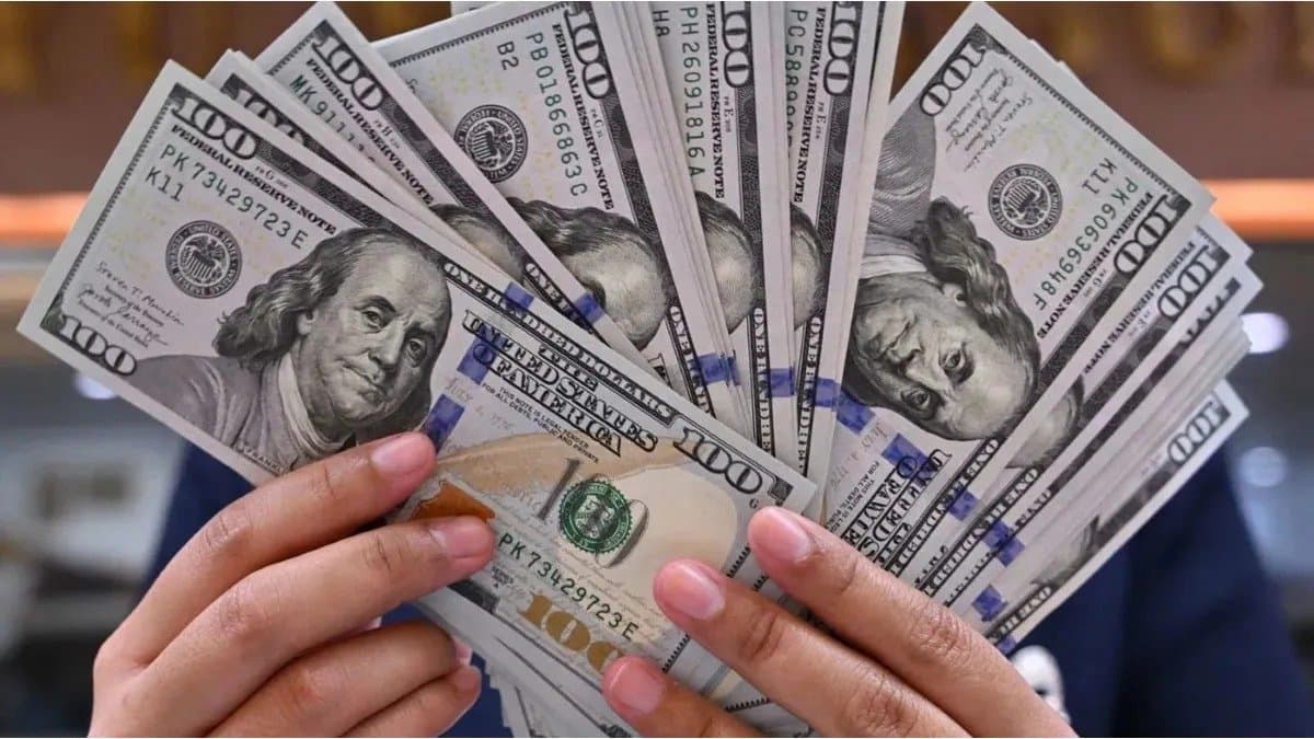 Un año sin cepo: los argentinos compraron más de USD 36.000 millones y el dólar sigue como refugio