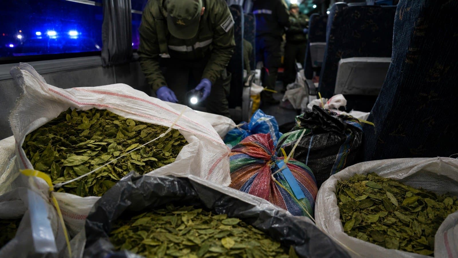 Detectaron 768 kilos de hojas de coca en un tour de compras que salió de Orán