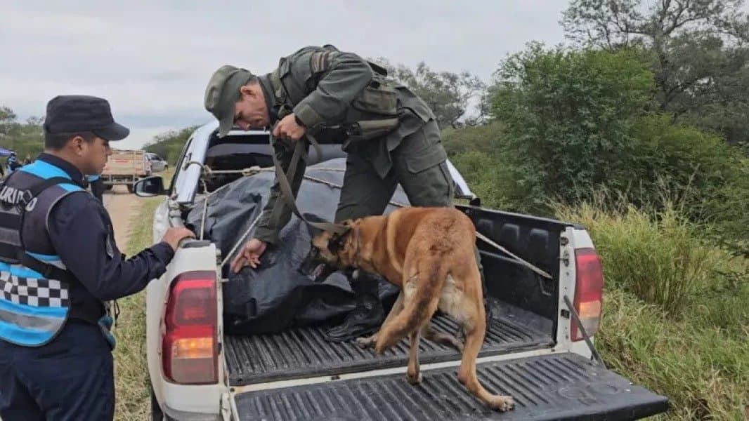 Salta y Jujuy reforzaron controles en rutas estratégicas junto a Gendarmería