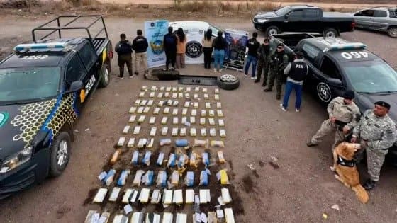 Frontera y seguridad: la Policía de Salta incautó más de 190 kilos de cocaína y desarticuló una red narco