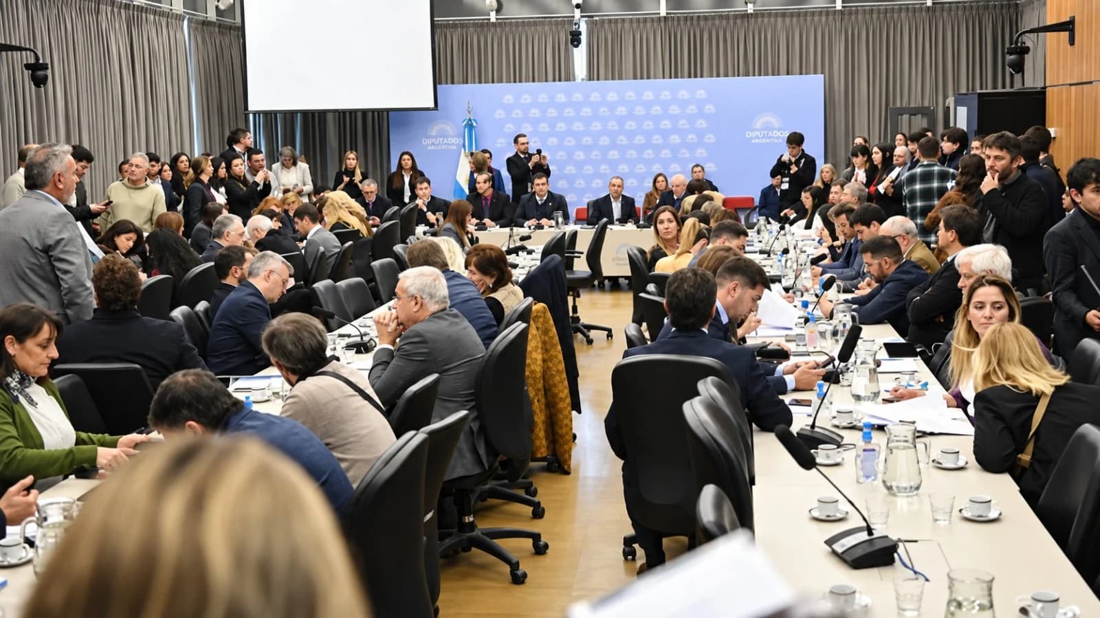 Diputados dictaminó un régimen permanente para reemplazar la emergencia en discapacidad